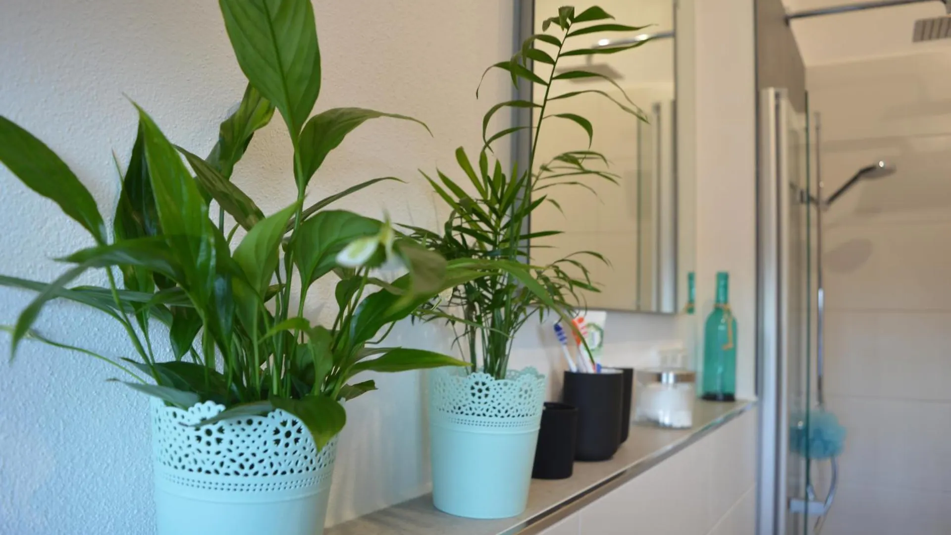Apartment Allgaeu Loft Bergzeit Halblech